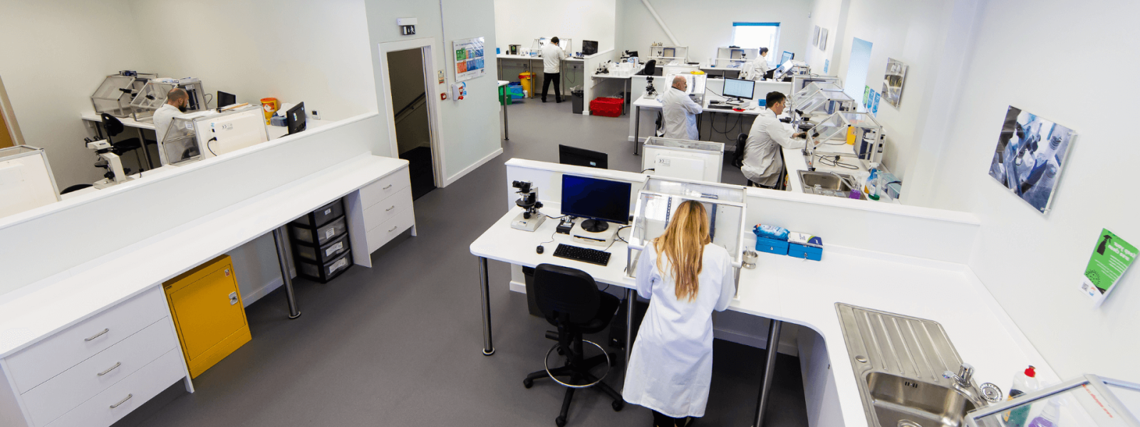 Laboratory scientists working at benches equipped with various instruments, computers, and equipment. The modern, well-lit lab features multiple workstations separated by dividers, allowing researchers to carry out experiments and analyses independently.